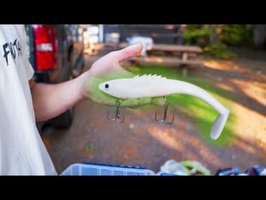 Chasing after MEGA TROUT -- (The Journey Begins)