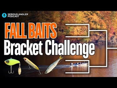BEST Fall Bass Fishing Baits Bracket Challenge!