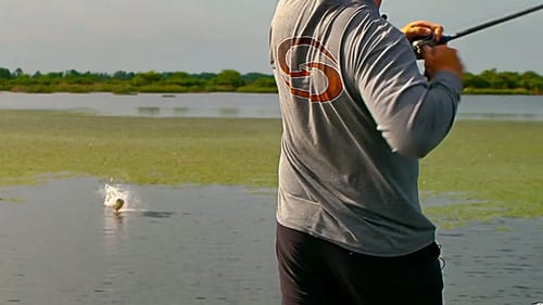 Catching Meaty Bass: Swim Jig Techniques Revealed