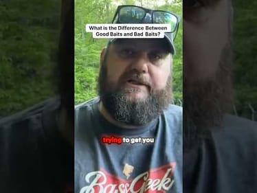 Good Bait Bad Bait?