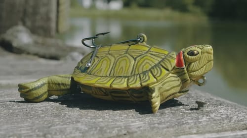 Fishing with a Handmade Turtle Lure!