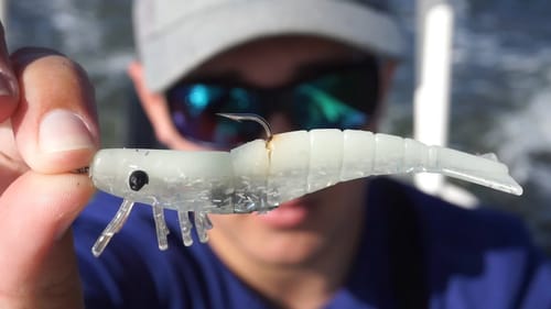 Fish Catching Lure
