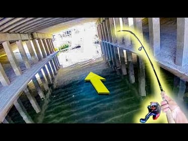 HIDDEN CREEK is FULL OF FISH!! (NEW SPECIES)