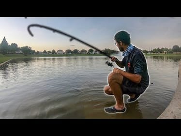 SUPER AGGRESSIVE FISH in INCHES OF WATER!!