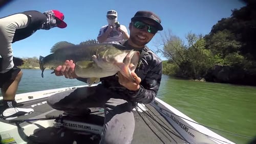 Big Bass Dreams - The Movement Trailer
