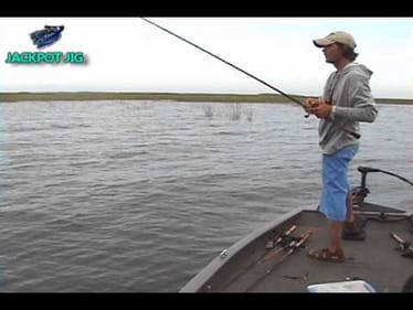 Big Baits Big Bites