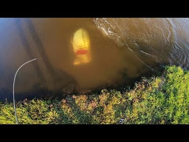 The BEST GOOGLE EARTH POND I've EVER FOUND! (Monster bass)
