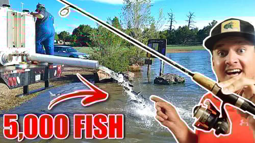 The STOCKED 5,000 Fish!!! --I Caught them IMMEDIATELY After!