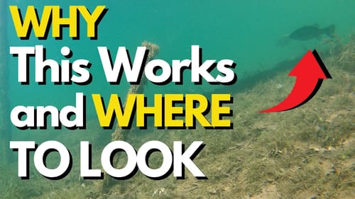 Top August Bass Fishing Lures and Techniques | Summer Bass Fishing Tips
