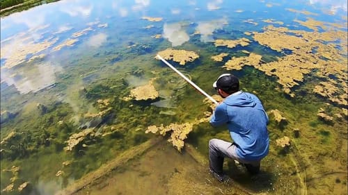 12 POUNDER in CRYSTAL CLEAR POND!! (INSANE)