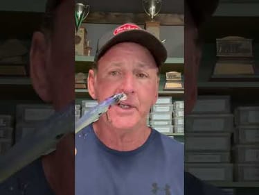 Summer Jerkbait Tricj