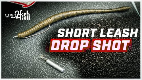 Why a Short Drop Shot Rig is Better Than a Shaky Head
