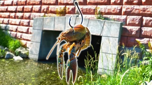 Fishing w/ GIANT CRAWFISH as Bait!! --BEST Bait Ever??