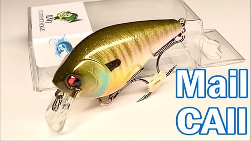 Swimbait Heads, Underpsins Crankbaits, and Jerkbaits On Mail Call