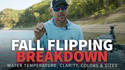 Fall FLIPPING Breakdown (Water Temps, Clarity & Colors)