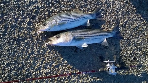 Double Hookup at the California Aqueduct