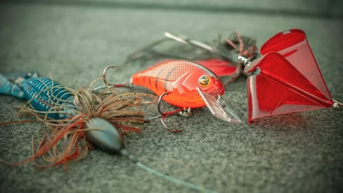 Easy Tips To Catch Shallow Bass All Summer