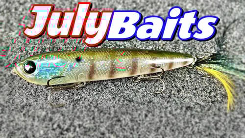 Top 5 July Baits and How to Fish Them