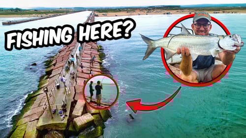EVERYBODY was catching the rarest fish jetty fishing here?