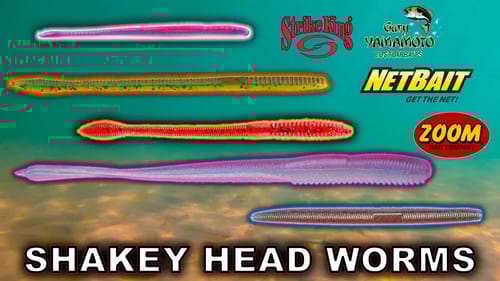 Which Shakey Head worm Is The Best? Crystal Clear Underwater Footage!