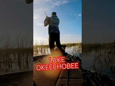 BOAT FLIP ONLY‼️ Flipping on Lake Okeechobee #shorts #bassfishing #flipping