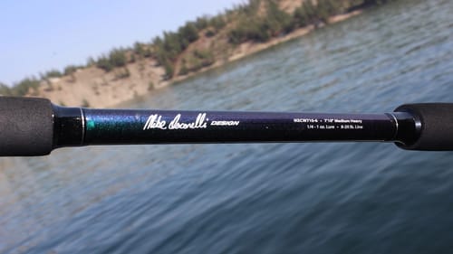 Let's Talk Fishing Rods! (Ike in the Shop)