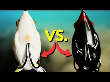 What UNDERWATER Footage SHOWS About Frog Fishing (Have You Tried This?)