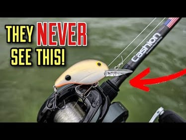 SECRET Crankbait Color: What Bass REALLY Wanted!