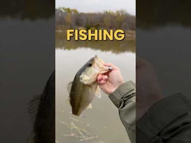 Fishing an Abandoned Pond for Bass and Bowfin #fishing