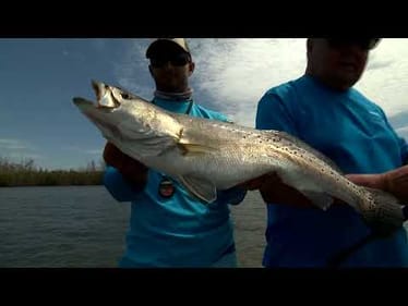 Palm Bay Specks | Bill Dance Saltwater (Full Episode)