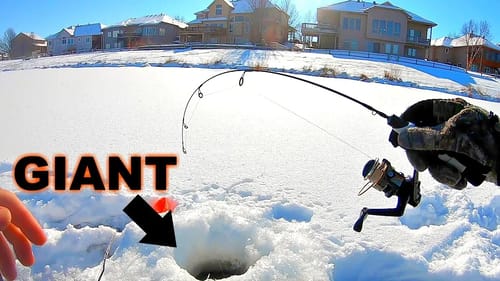 Caching my BIGGEST Fish of the Year from a Neighborhood Pond!!!