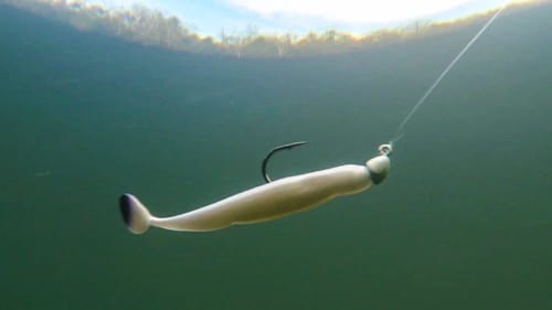 Color Tips of Plastics for Triggering Bass