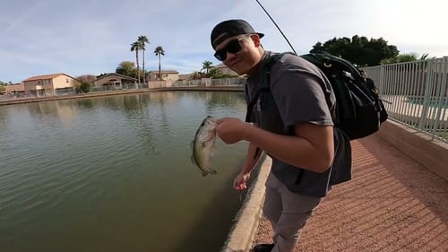 Urban Bassin in Phoenix