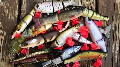 My Big SWIMBAIT Collection! (2019)
