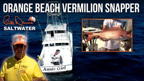 Orange Beach Vermilion Snapper | Bill Dance Saltwater