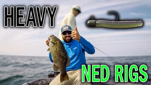 NED RIG for DEEP Water SMALLMOUTH BASS | Baits, Set-up and Secrets