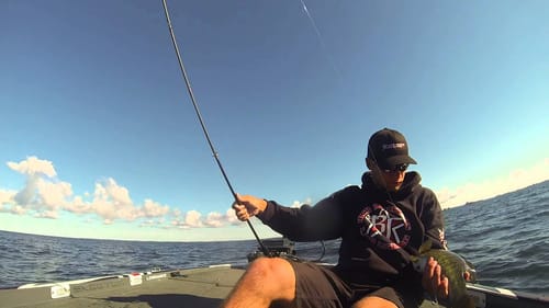 St. Lawrence River Elite(Brandon Palaniuk)