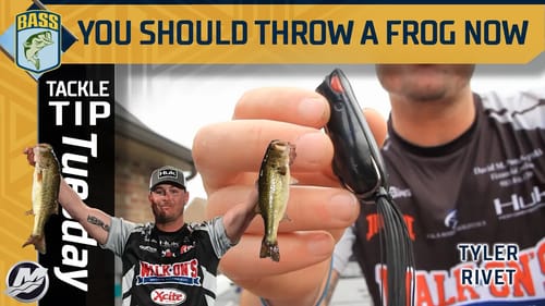 How Tyler Rivet fishes a Frog from Pre Spawn until Winter
