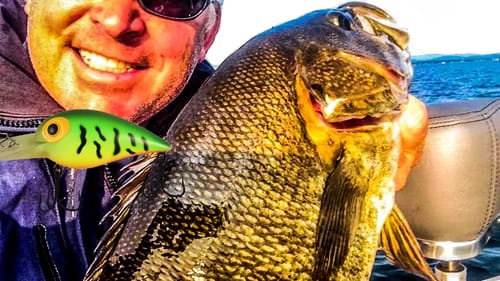 Catch Smallmouth Cranking Crankbaits - Big Bass Fishing Secrets!