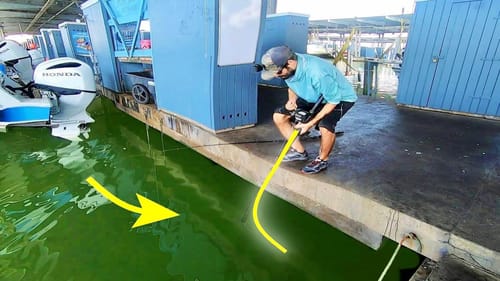 The BIGGEST DOCK FISH I’ve EVER SEEN! (EPIC)