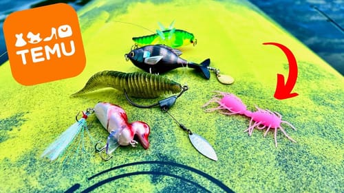 Fishing with CHEAP Baits From TEMU (SURPRISING RESULTS!)
