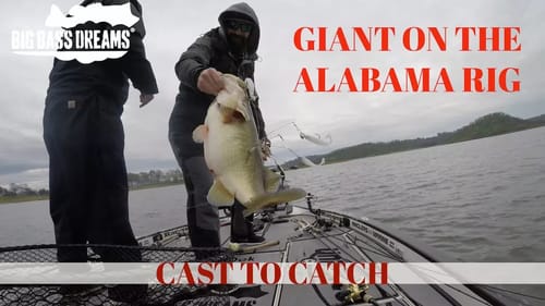 Alabama Rig Giant Bass - Rich Fuchs Personal Best on the Hog Farmer Harvester