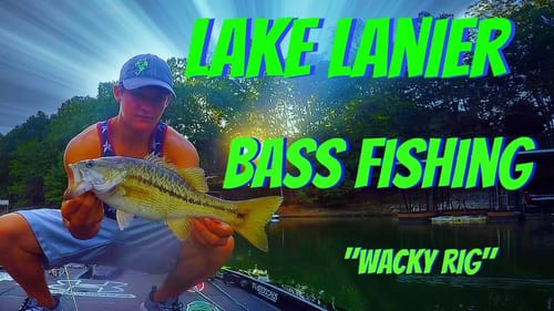 Fishing Docks for Bass ~ Lake Lanier