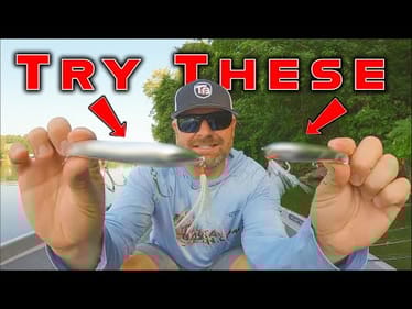 FINESSE TOPWATER and BFS! ( This Topwater Hack Is The Real Deal )