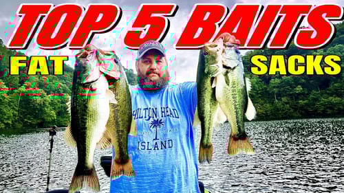 5 Baits For September FAT SACKS