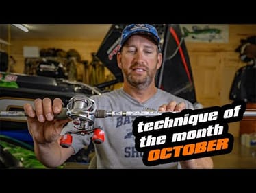 Technique Of The Month | October | Bait Balls
