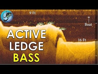 How to Fish Offshore Summer Ledges for Bass
