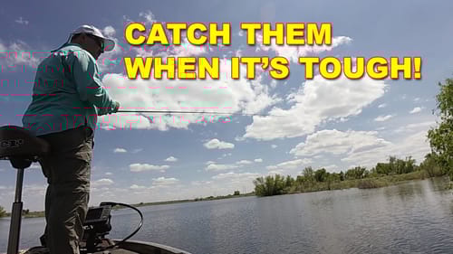 What Can You Do When The Fish Aren't Biting? | Bass Fishing