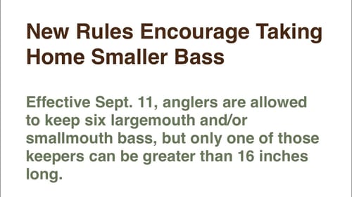 State Fisheries Managers Are Failing Our Bass Lakes…