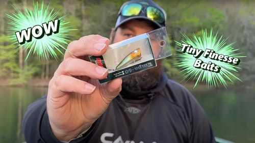 NEW BFS Baits - Bait Finesse System